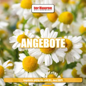 Angebote