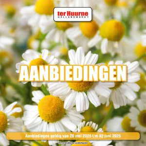 Aanbiedingen